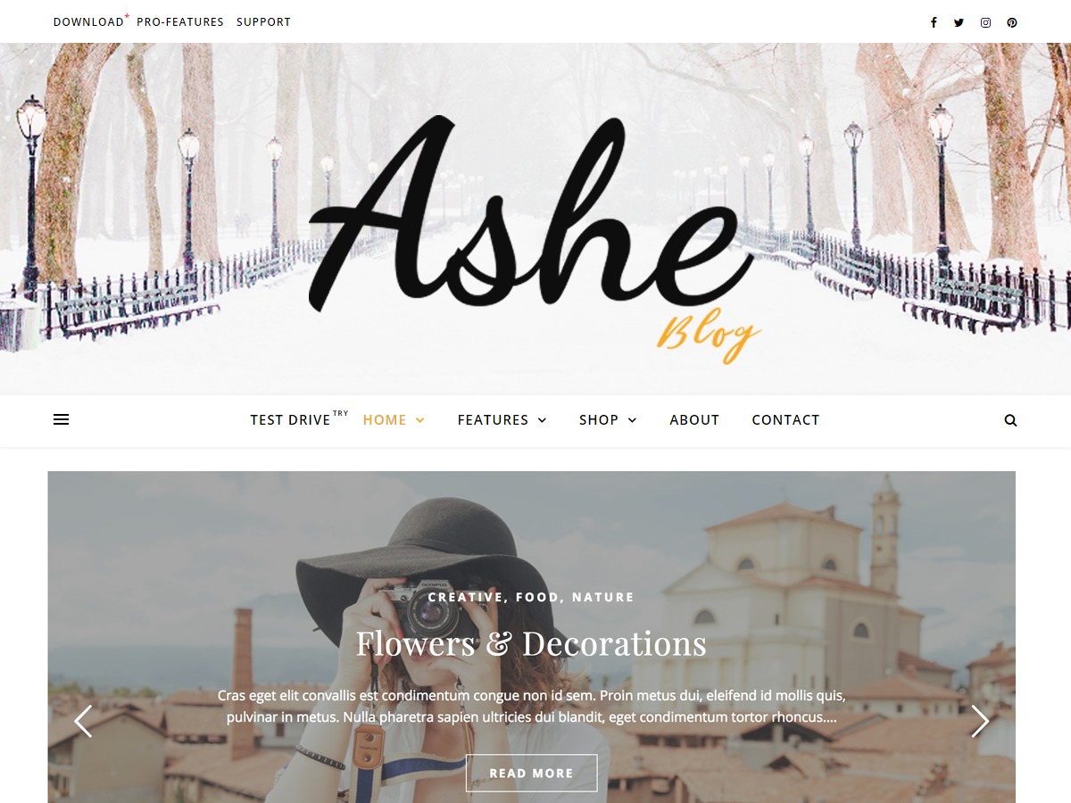 Ashe WordPress theme image