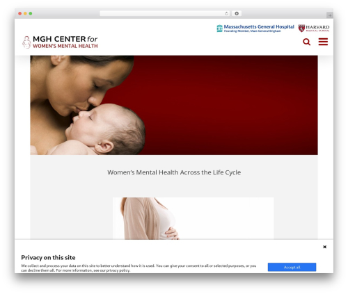 Avada best WordPress theme - womensmentalhealth.org