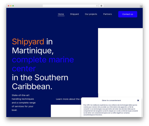 Avada best WordPress theme - carenantilles.com