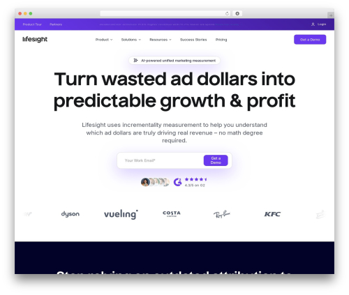 Avada theme WordPress - lifesight.io