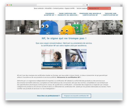 Best WordPress theme Afnor Bridge Child - marque-nf.com