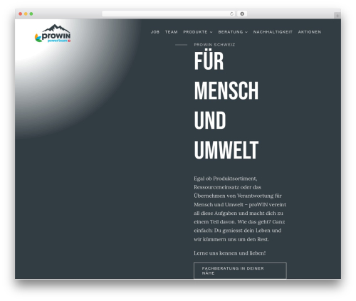 Best WordPress theme Avada - prowin-powerteam.ch