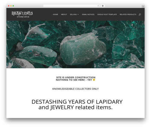 Best WordPress theme Divi - stonediva.com