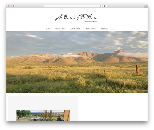 Best WordPress theme OceanWP - labuenavidafarm.com