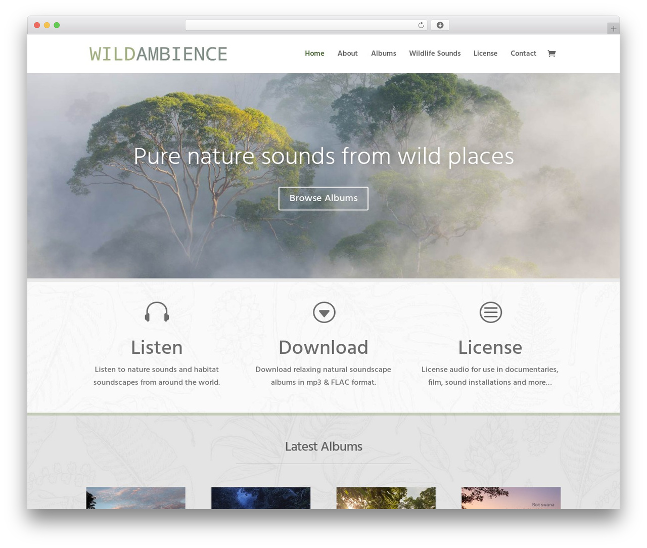 Best WordPress theme Divi - wildambience.com Best WordPress theme Divi - wildambience.com