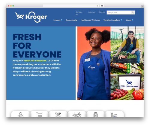 Best WordPress theme Hello Elementor - thekrogerco.com