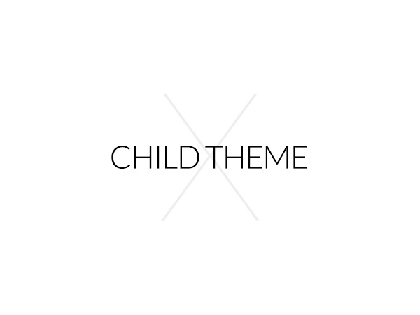 Best WordPress theme X Child by Themeco