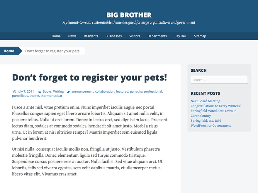 Big Brother WordPress theme
