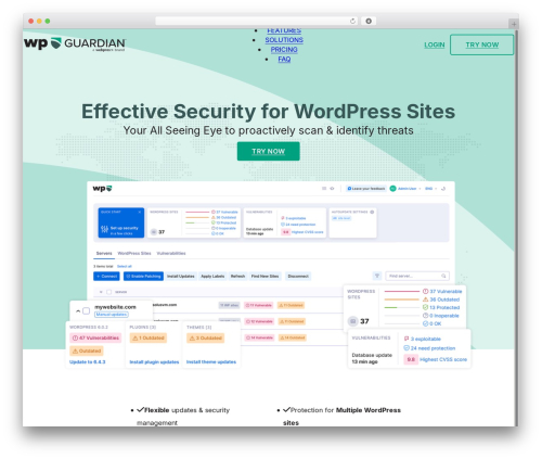 Bricks best WordPress theme - wpguardian.com