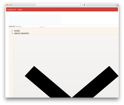 Bricks theme WordPress - ariadne-network.eu