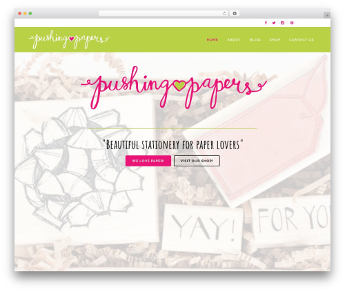 Bridge best WordPress theme - pushing-papers.com