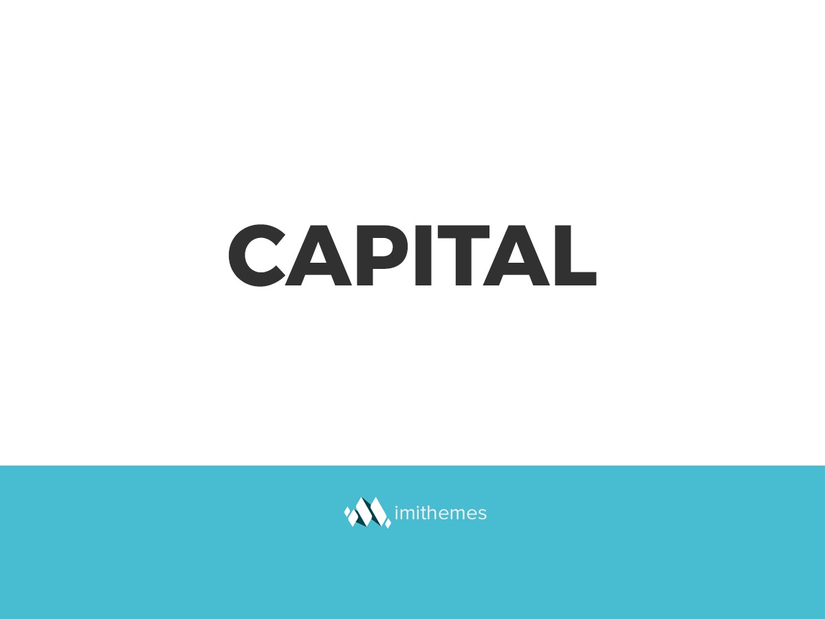 Capital WordPress theme for business