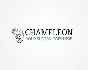 Chameleon theme WordPress by Elegant Themes