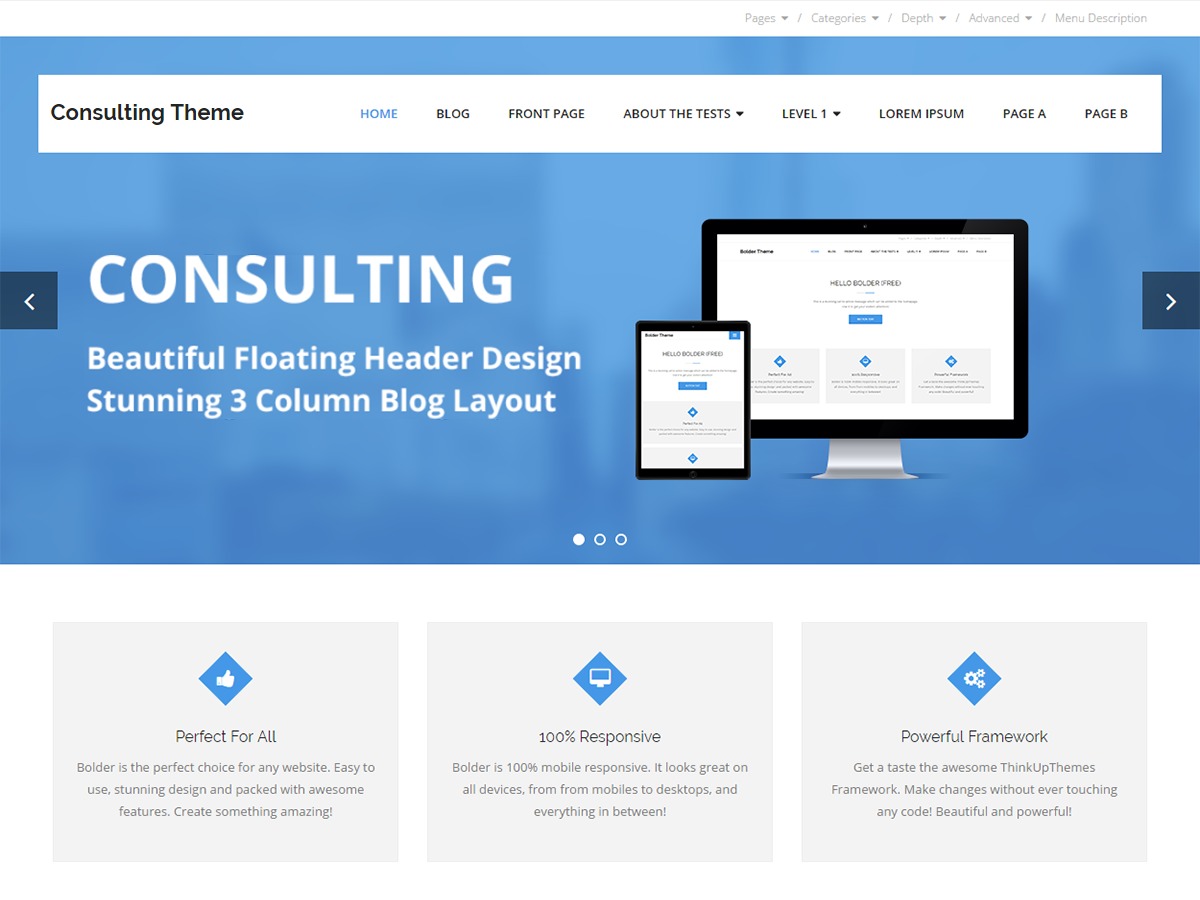 Consulting WordPress blog theme