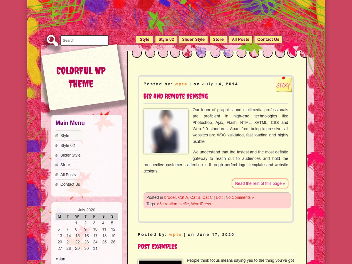 D5 COLORFUL WordPress theme free download