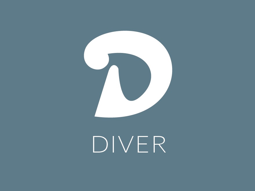 diver theme WordPress
