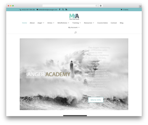 Divi best WordPress theme - mindyouranger.com
