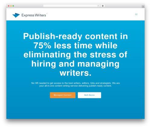 Divi Child premium WordPress theme - expresswriters.com