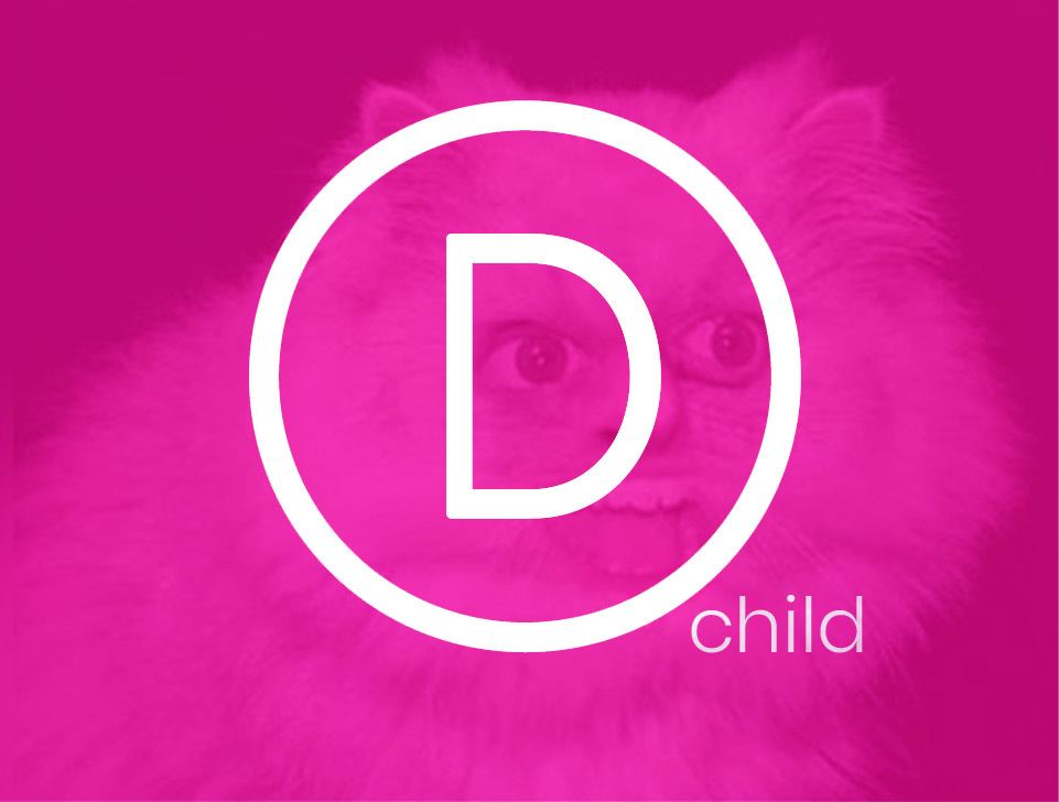 Divi Child theme of Divi WP theme by Elegant Themes