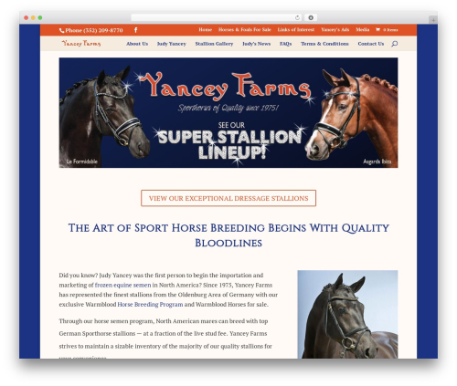 Divi theme WordPress - yancey-farms.com