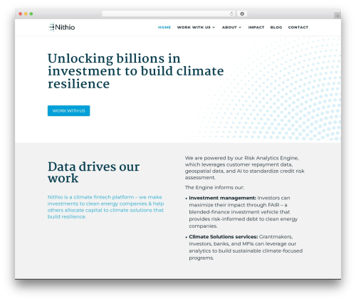 Divi theme WordPress - nithio.com