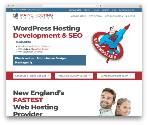 Divi top WordPress theme - mainehost.com