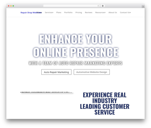 Divi WordPress ecommerce theme - repairshopwebsites.com