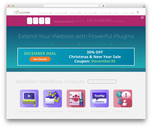 Divi WordPress theme - cminds.com