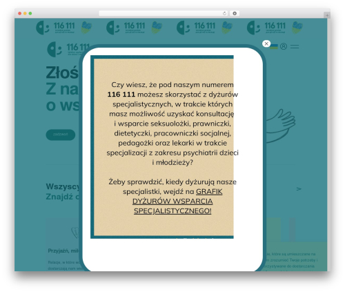 Divi WordPress theme - 116111.pl