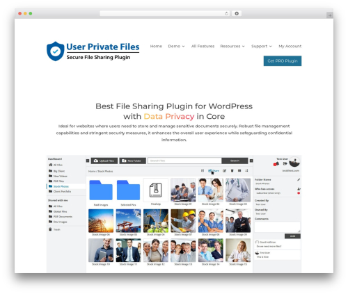 Divi WordPress theme - userprivatefiles.com