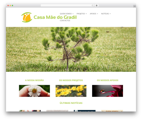 Divi WP theme - casamae.org