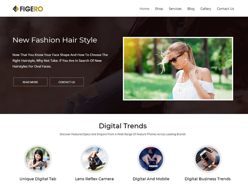 Figero free WordPress theme