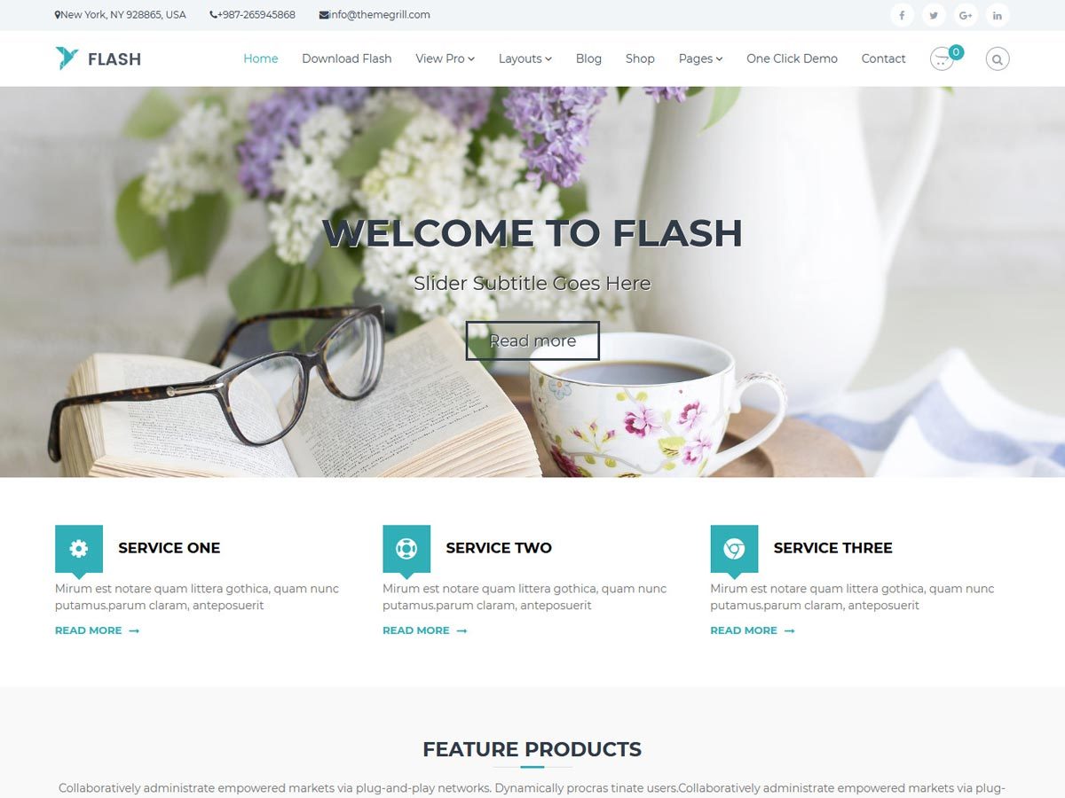 Flash theme free download