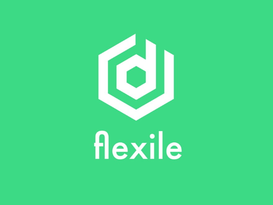 Flexile best WordPress theme