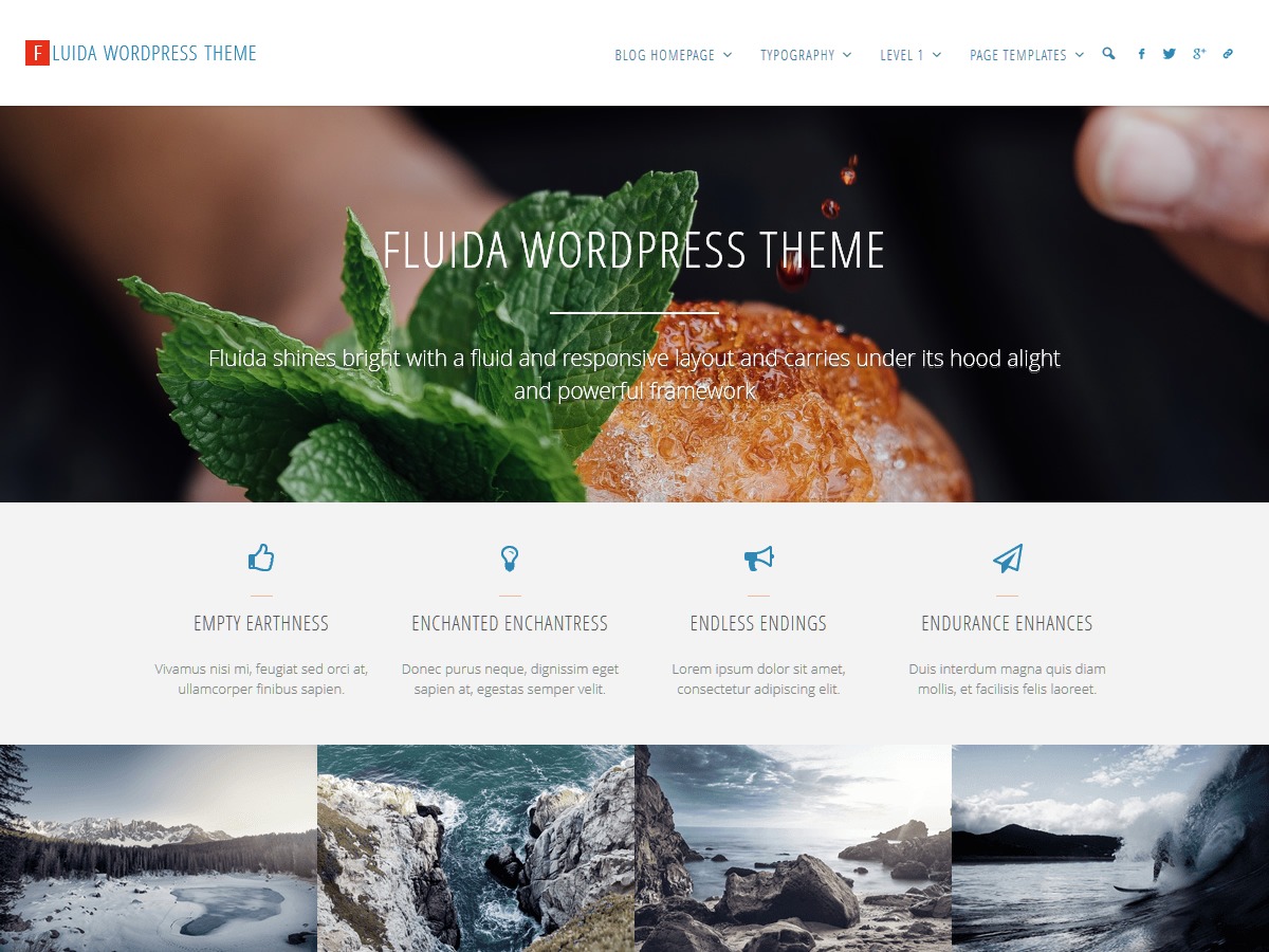 Fluida theme WordPress free
