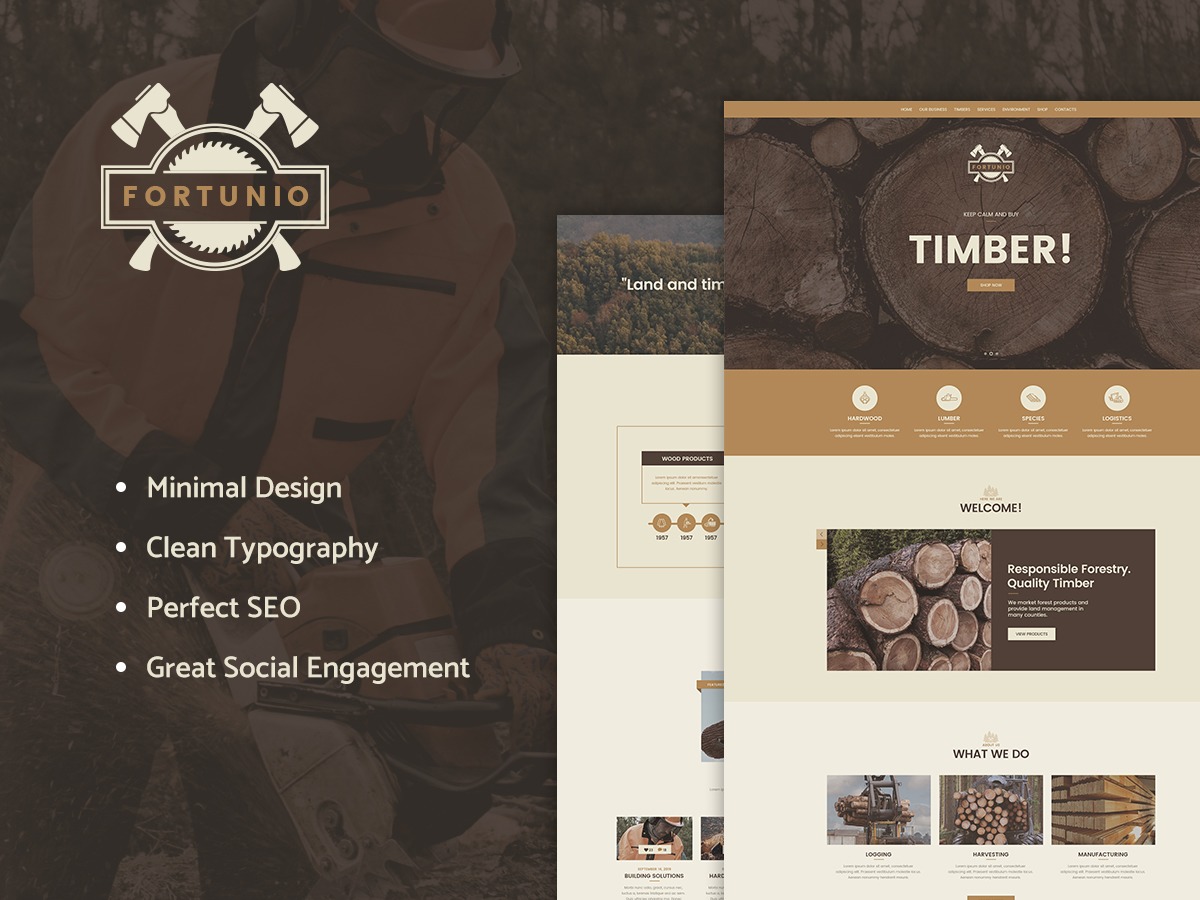 Fortunio best WordPress theme