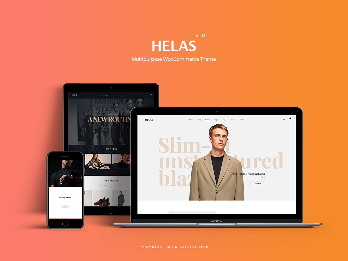 Helas WordPress ecommerce theme