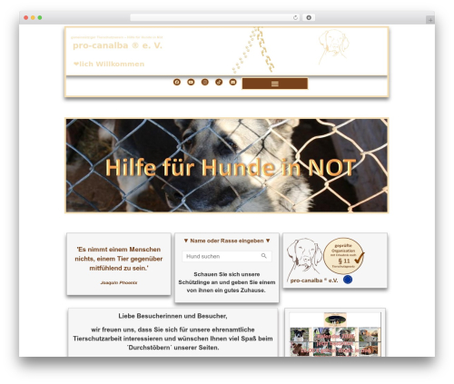 Hello Elementor theme WordPress free - pro-canalba.eu