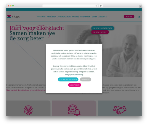 Hello Elementor theme WordPress - skge.nl
