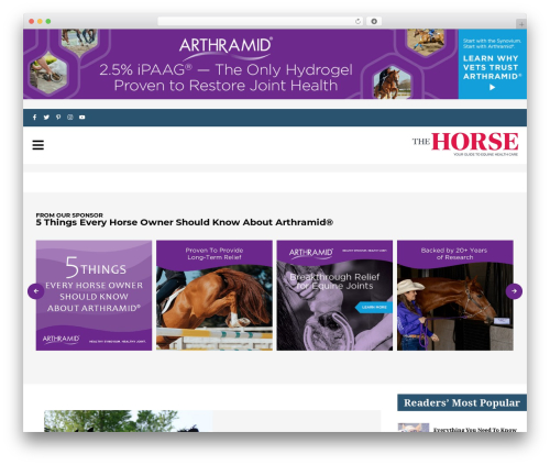 Hello Elementor theme free download - thehorse.com