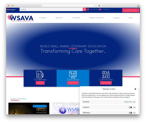 Hello Elementor WordPress theme download - wsava.org