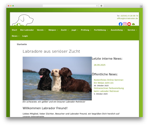 LCD theme WordPress - lcd-labrador.de