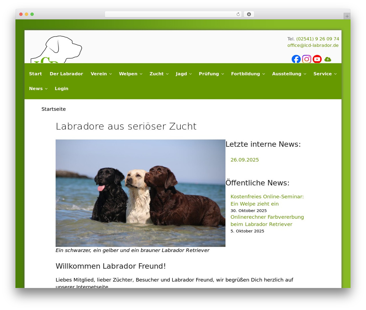LCD theme WordPress - lcd-labrador.de LCD theme WordPress - lcd-labrador.de