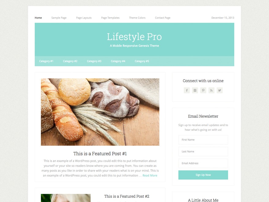 Lifestyle Pro Theme WordPress theme by StudioPress