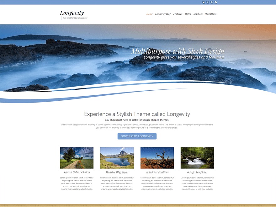 Longevity free WordPress theme