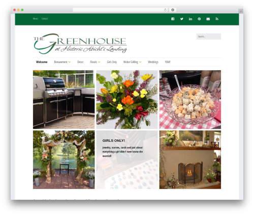 Make WordPress website theme - tgi.mxmarietta.net/wp1