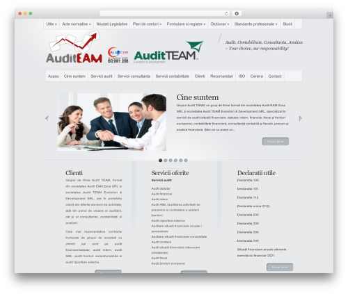 Minimal company WordPress theme - audit-team.ro