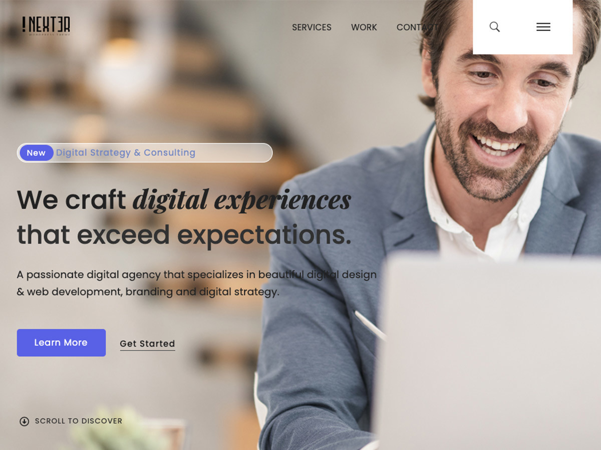 Nexter WP theme