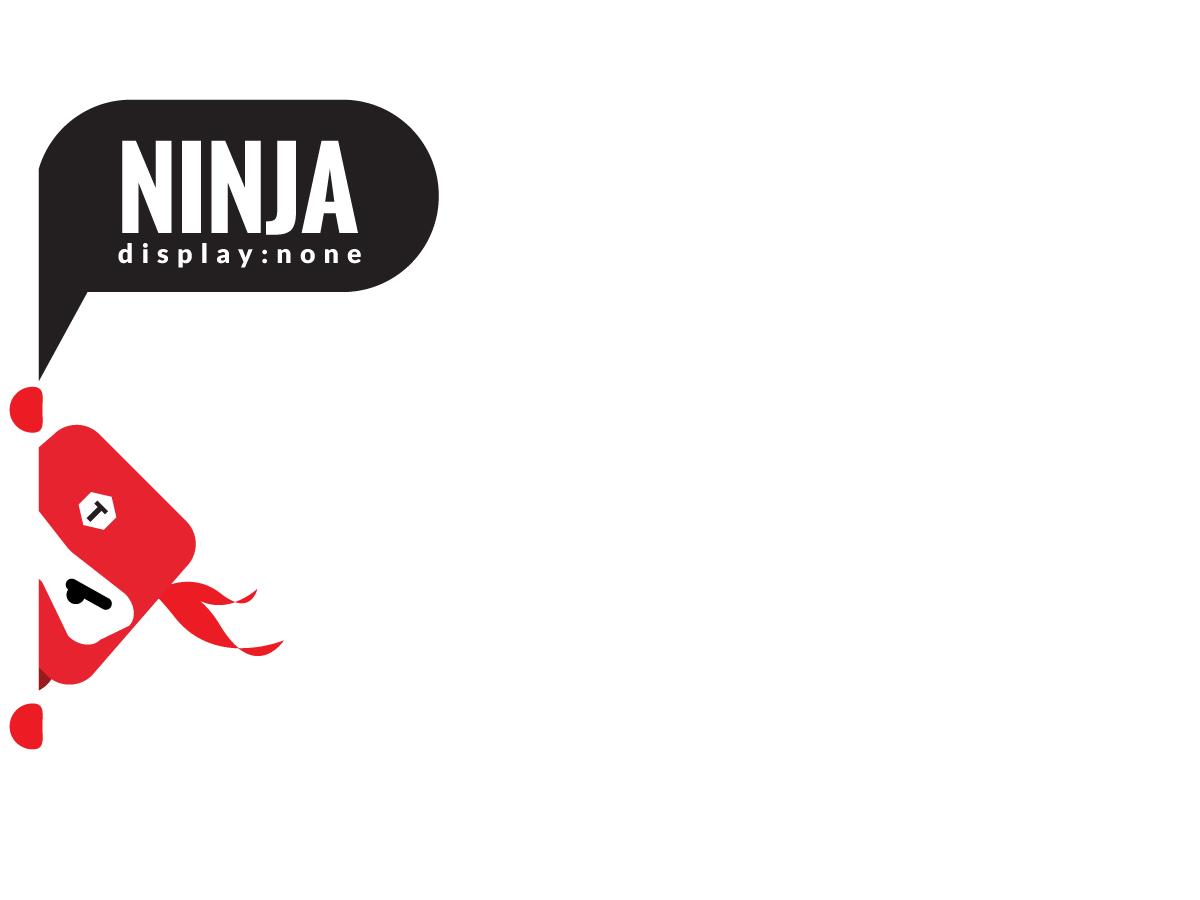 Ninja WordPress ecommerce theme