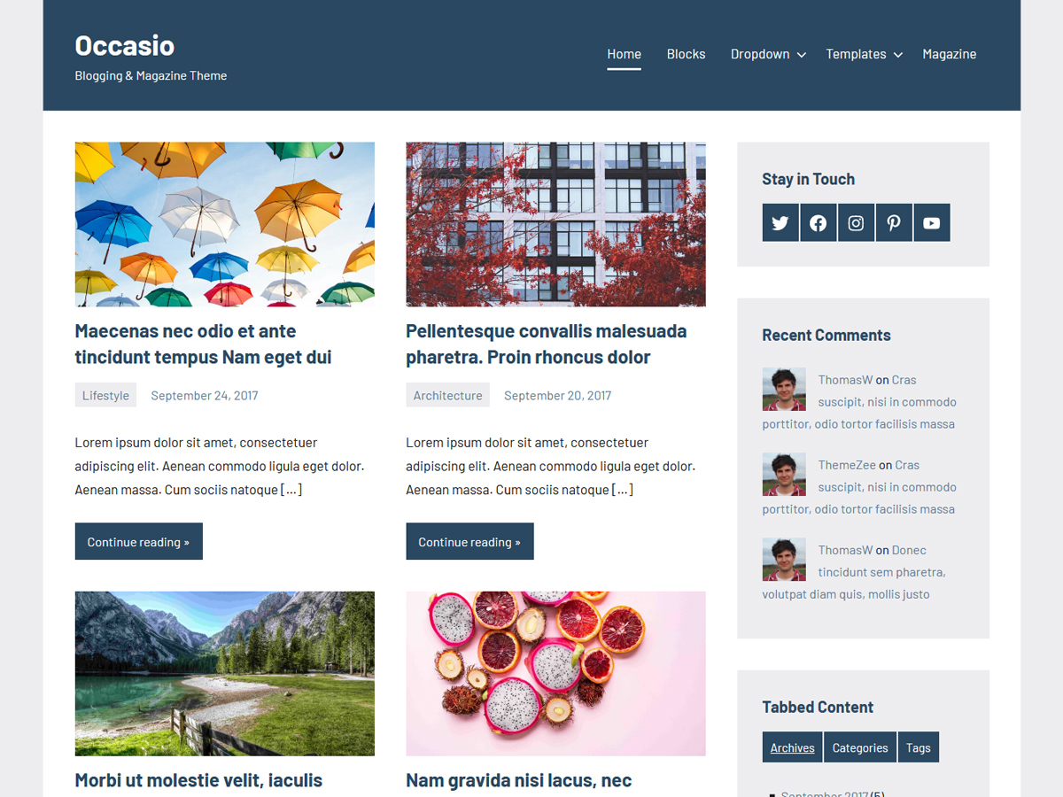 Occasio WordPress gallery theme